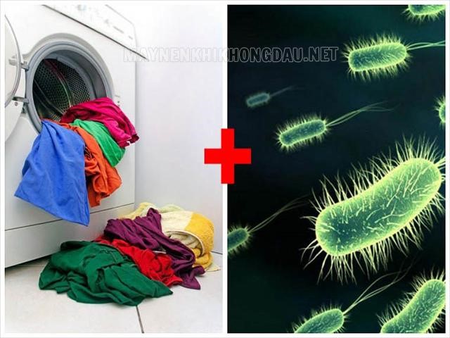 Máy giặt không vệ sinh thường xuyên dễ có nhiều vi khuẩn
