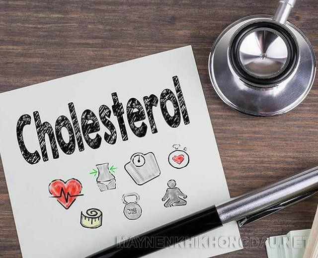 Hỗ trợ giảm bớt hàm lượng cholesterol trong cơ thể, giúp ổn định huyết áp