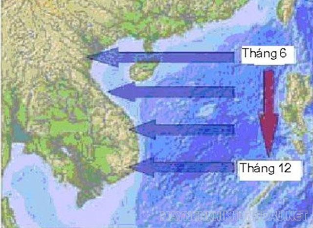 Thời gian hoạt động chính của bão ở Việt Nam