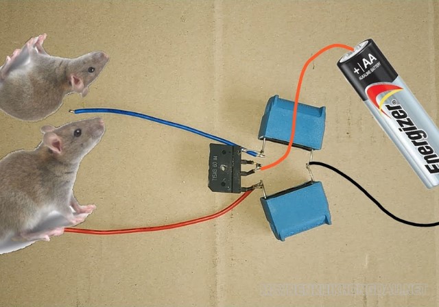 Cách làm bẫy chuột bằng điện