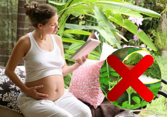 Phụ nữ mang thai không nên sử dụng rau chùm ngây