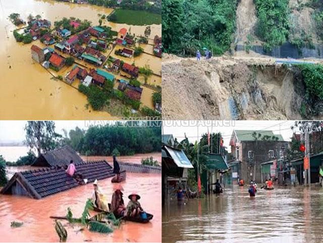 Tác hại của bão ở Việt Nam