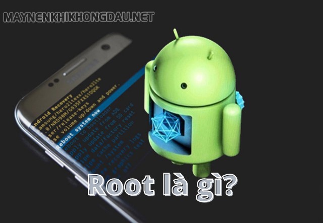 Root là gì?