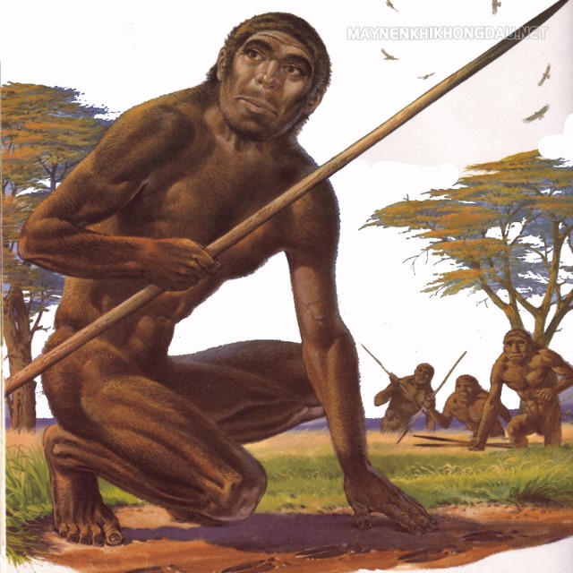 Hình ảnh người cổ Homo