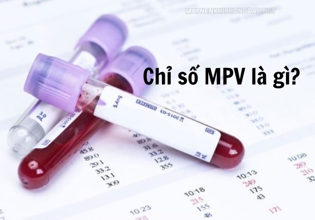 Xét nghiệm máu MPV là gì?