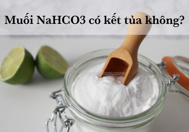 Muối NaHCO3 không gây ra kết tủa