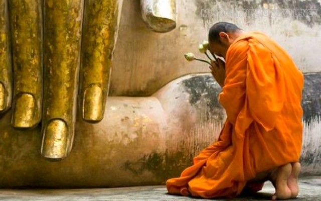 Cách sám hối đúng Phật pháp