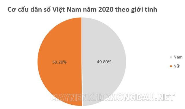 Cơ cấu dân số theo giới tính ở Việt Nam năm 2020