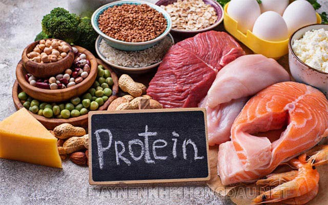 Protein là nhóm chất cần thiết để xây dựng và duy trì cơ bắp, xương, máu,...